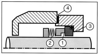 Seal Points